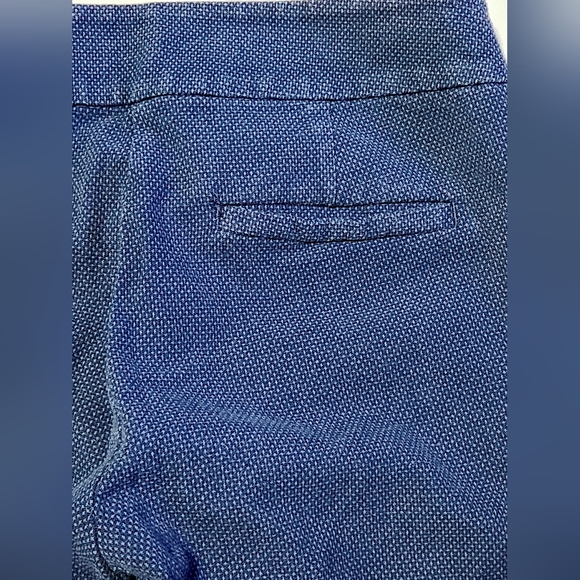 Ann Taylor Loft Marisa Ankle Pants Blue Size 2 - Picture 7 of 8